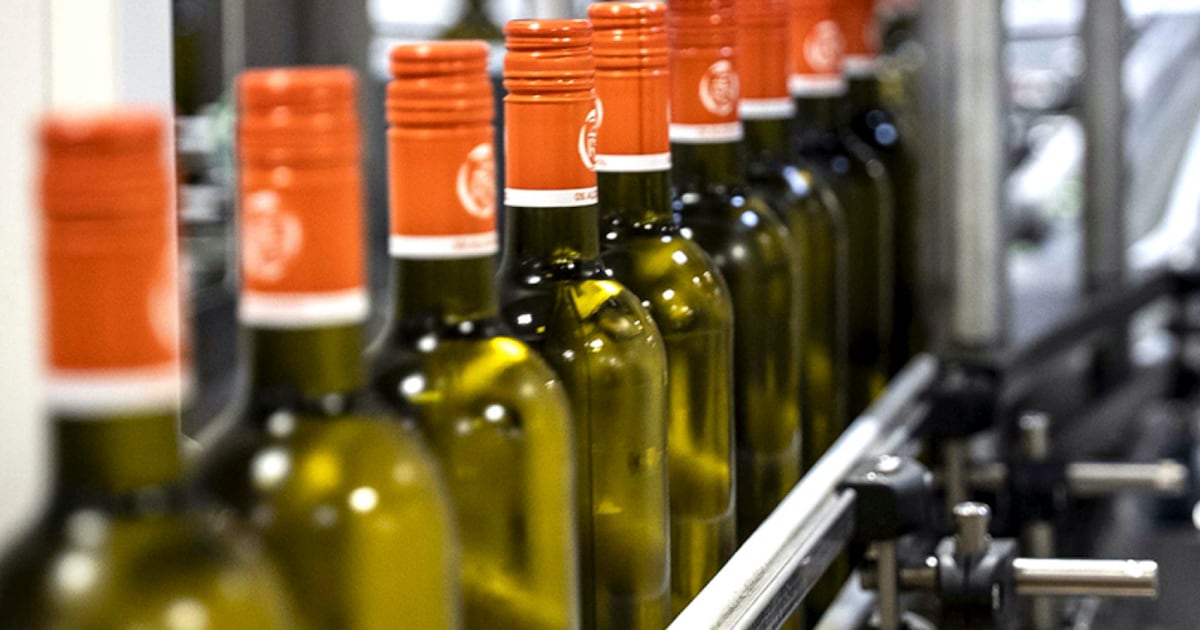 Près de Nantes, Castel-Vins se dote d’une unité de désalcoolisation du vin au procédé unique en Europe