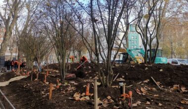 « Nous avons été visionnaires » : à Paris, Anne Hidalgo se félicite de l’arrivée d’une quatrième « forêt urbaine »