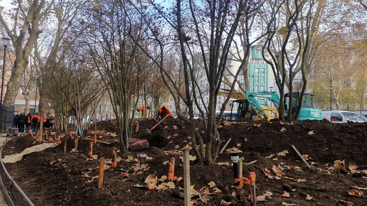« Nous avons été visionnaires » : à Paris, Anne Hidalgo se félicite de l’arrivée d’une quatrième « forêt urbaine »