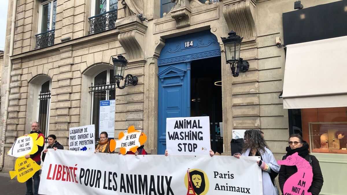 L’Aquarium de Paris sommé par la justice de mettre fin à ses soirées dansantes