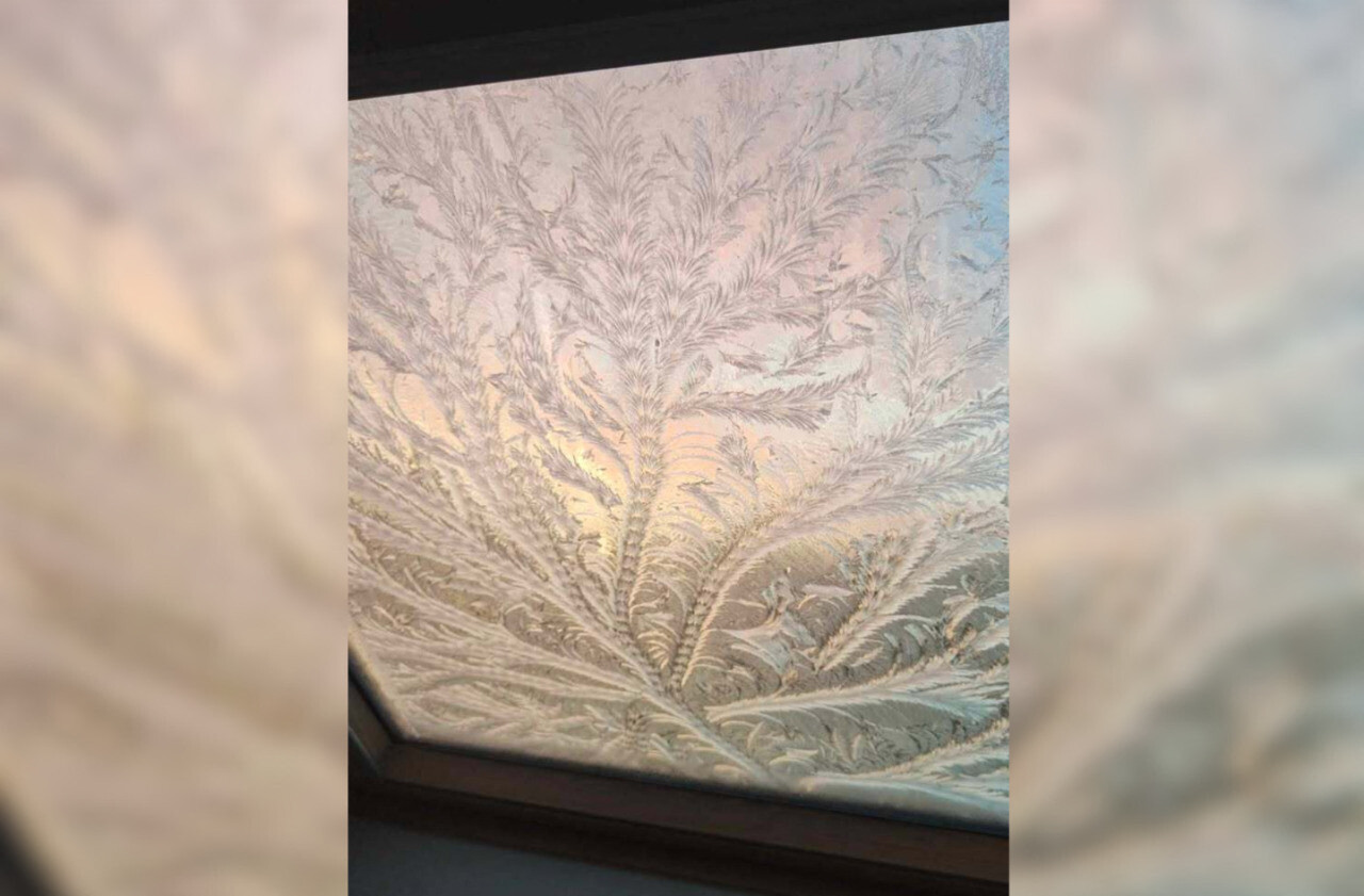 un dessin exceptionnel s’est formé sur cette maison de Seine-Maritime