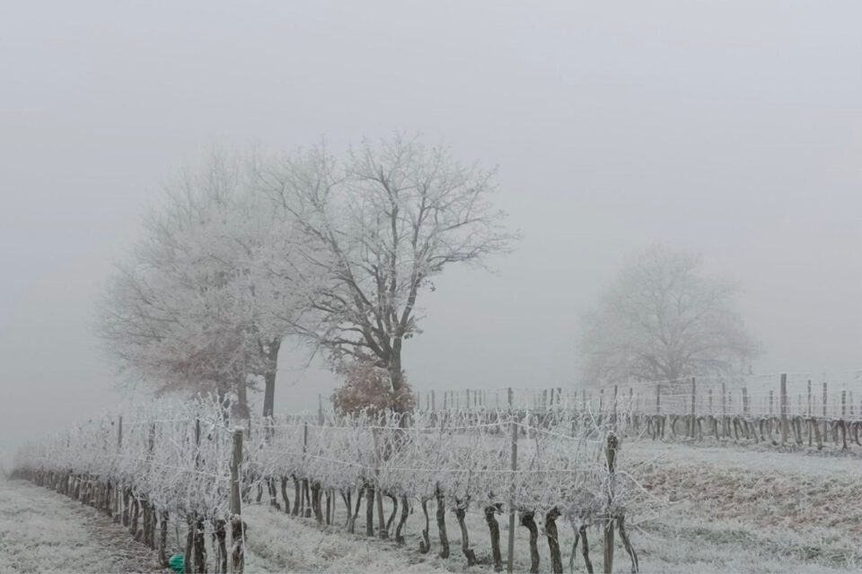 Un brouillard, parfois dense, a enveloppé le Sud-Gironde pour l'ultime jour de l'année 2025.