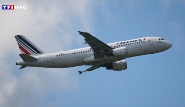 "C'était atroce" : un vol Paris-Ajaccio dérouté en urgence vers Lyon après un incident moteur