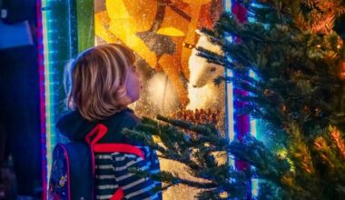 Chants de Noël, déambulation, atelier maquillage... Ce qui vous attend dès ce vendredi pour les fêtes de fin d’année à Six-Fours