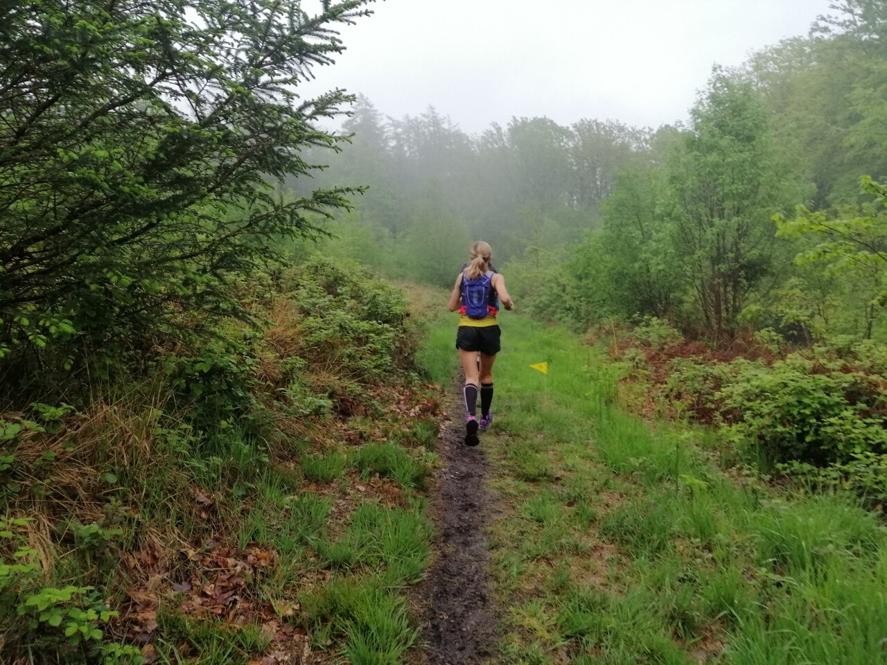 de 11km à 42km dans les bois en Seine-Maritime