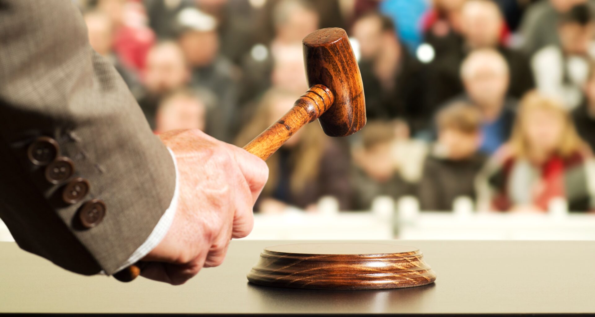 Lille accueille Aguttes : une nouvelle adresse pour faire estimer vos trésors - 05/12/2025