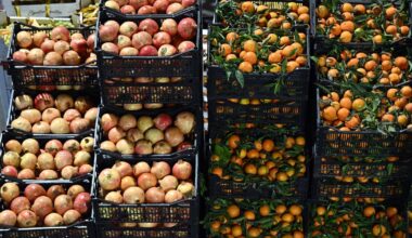 la justice rejette les recours d’associations environnementales pour le nouveau projet du MIN d’Azur