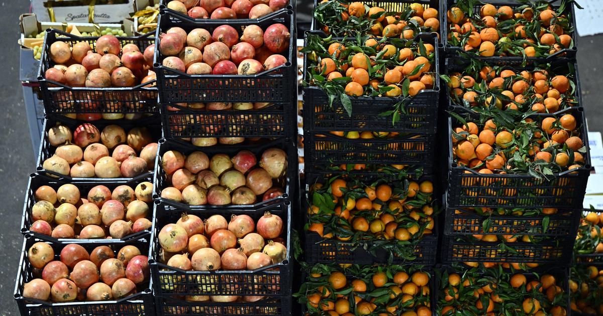 la justice rejette les recours d’associations environnementales pour le nouveau projet du MIN d’Azur