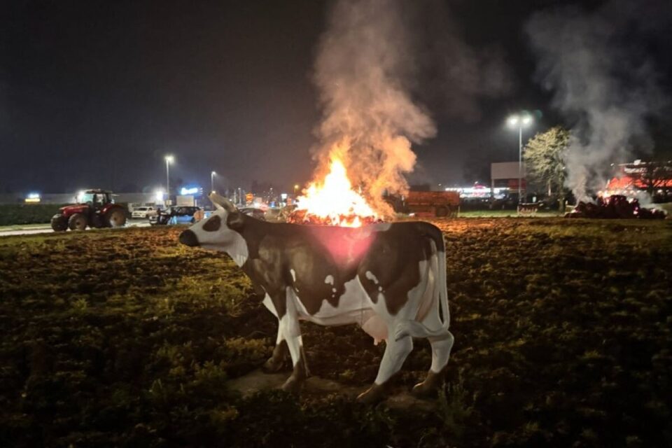 Les agriculteurs de Normandie sont inquiets pour l'avenir de la filière.
