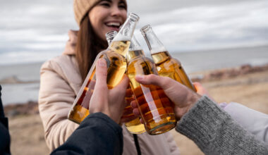 La Seyne-sur-Mer. La justice examine l’arrêté "anti-alcool" du maire, contesté par une association