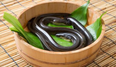 hospitalisé en urgence, il s’était introduit une anguille (qui avait commencé à grignoter ses intestins) !