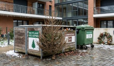 ces solutions méconnues évitent la décharge et l’amende