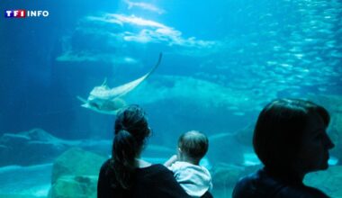 Les soirées festives à l'Aquarium de Paris, c'est terminé