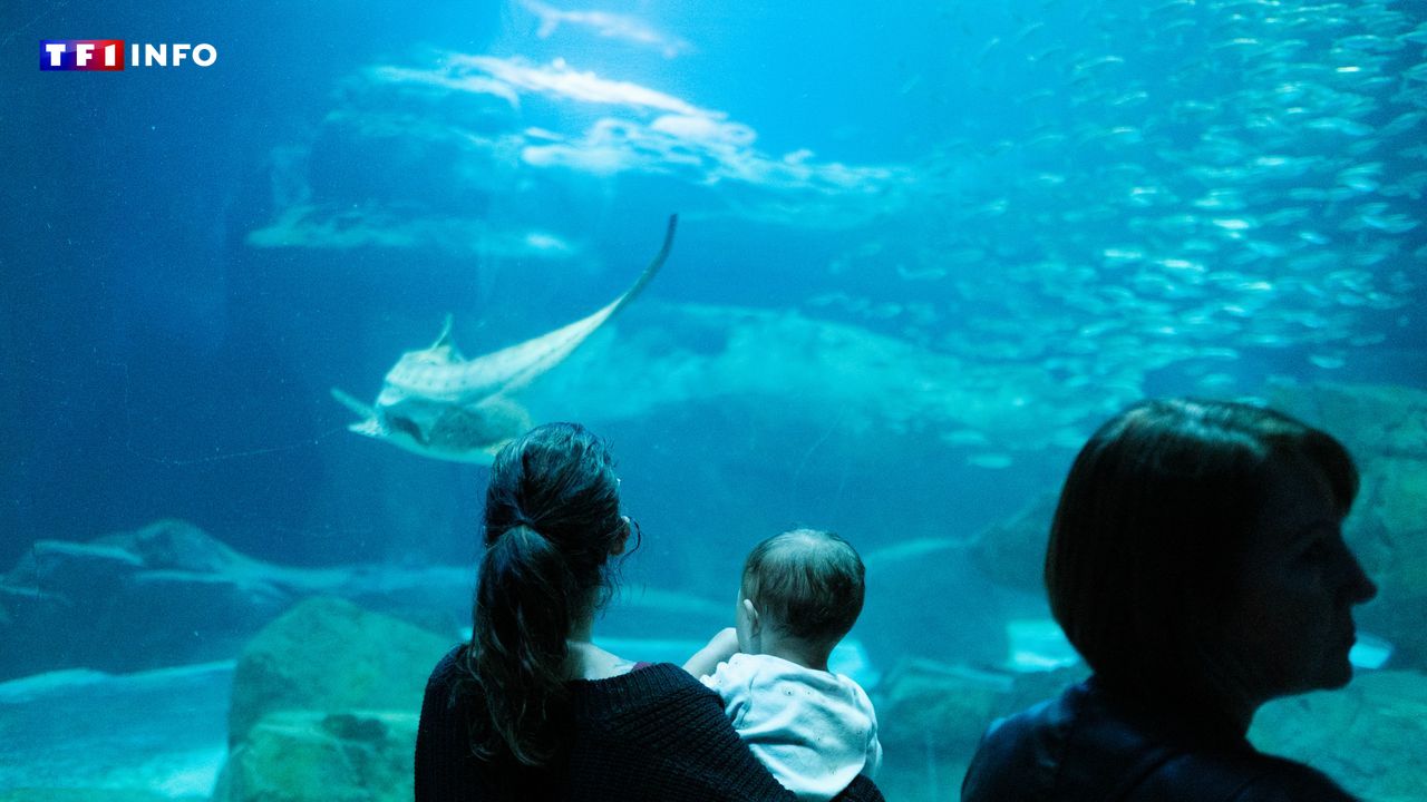 Les soirées festives à l'Aquarium de Paris, c'est terminé