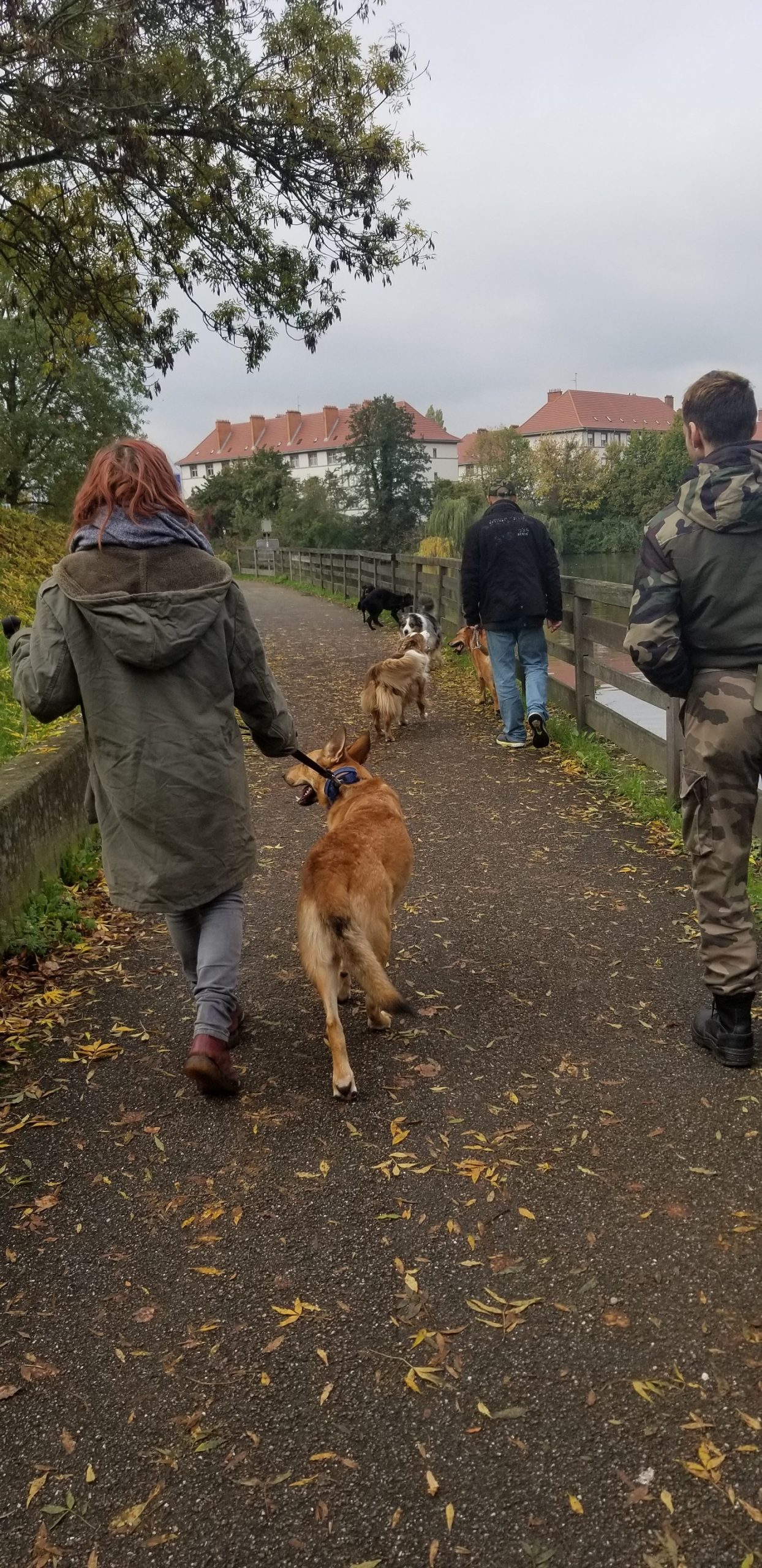 association Lianes_en atelier de médiation canine_credit Lianes