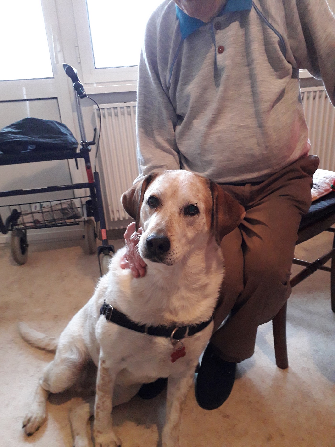 association Lianes_les visites en établissements_credit Lianes