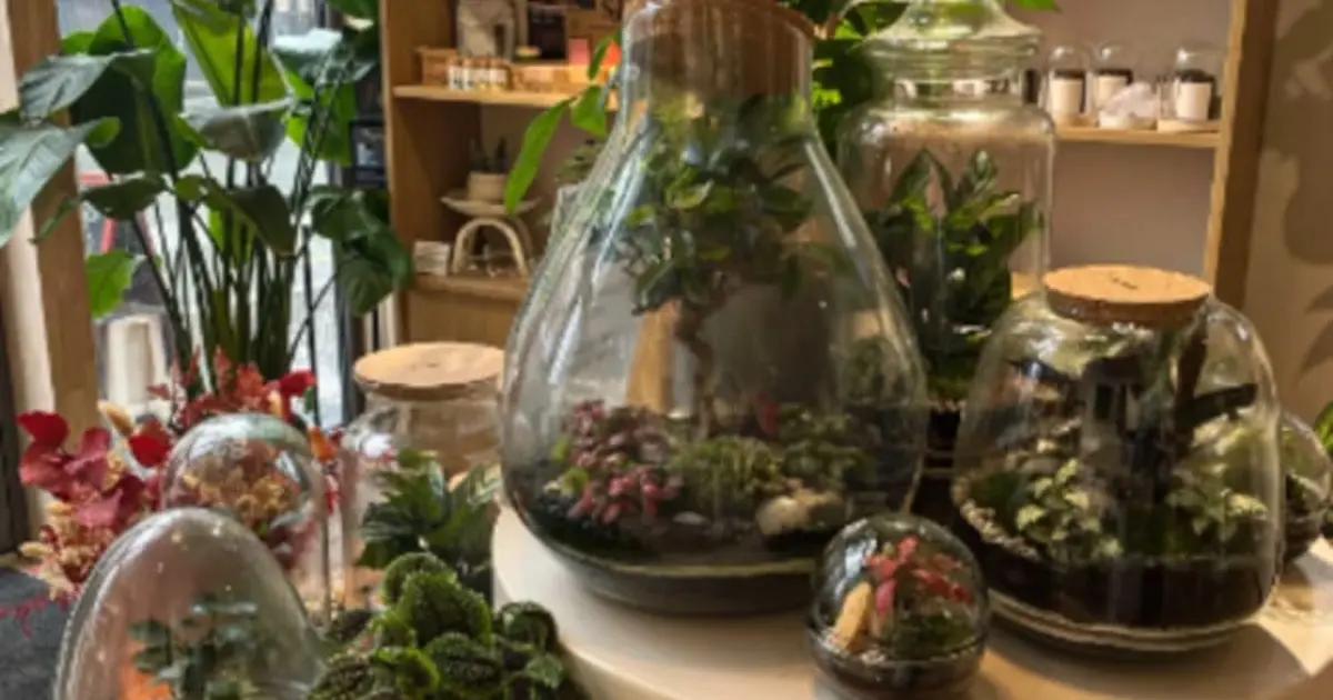 Atelier parent / enfant terrarium à Lille (59)