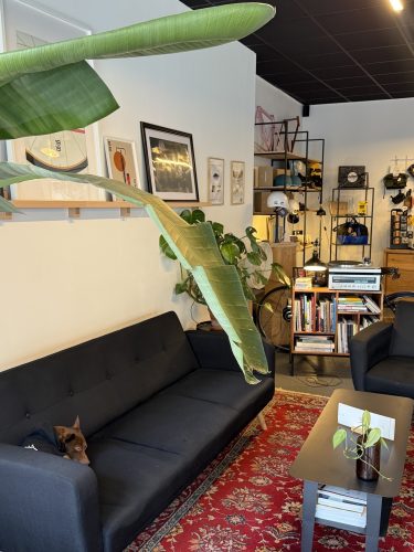 aven bike café réparation de vélo