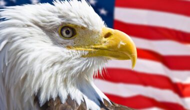 Aux États-Unis, la protection des espèces menacées au cœur d’une bataille judiciaire