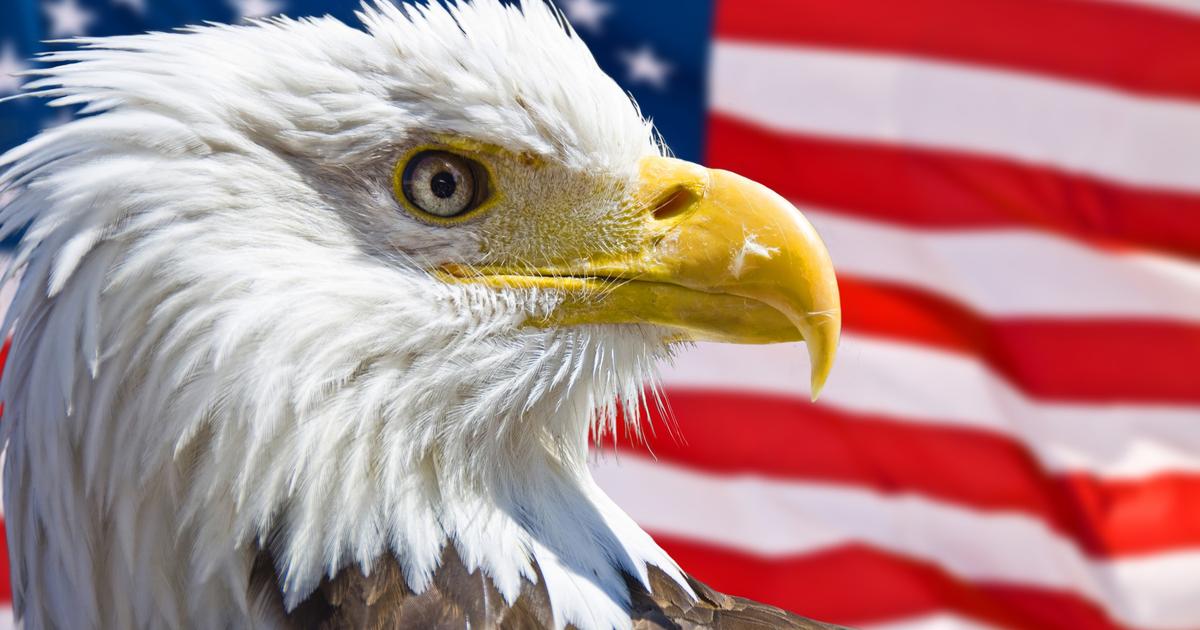 Aux États-Unis, la protection des espèces menacées au cœur d’une bataille judiciaire