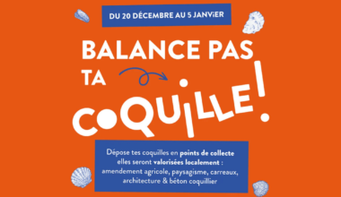 Fêtes de fin d'année : donnez une seconde vie à vos coquilles de fruits de mer
