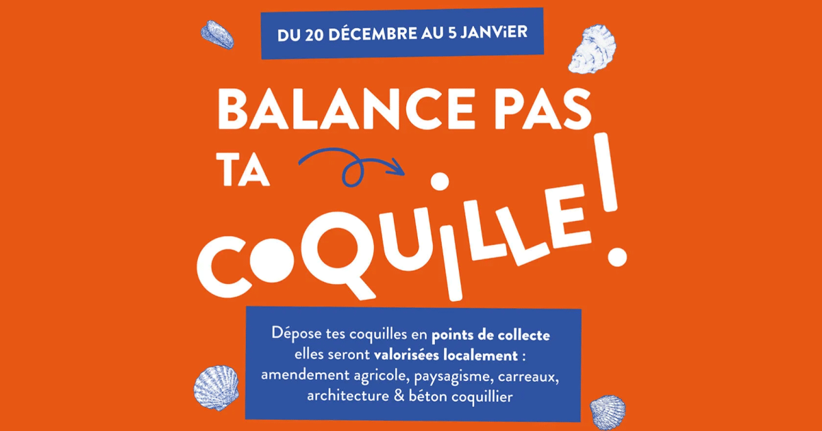 Fêtes de fin d'année : donnez une seconde vie à vos coquilles de fruits de mer