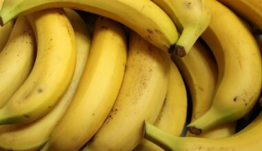 La Russie se lance dans la production domestique de bananes - Chronique des matières premières