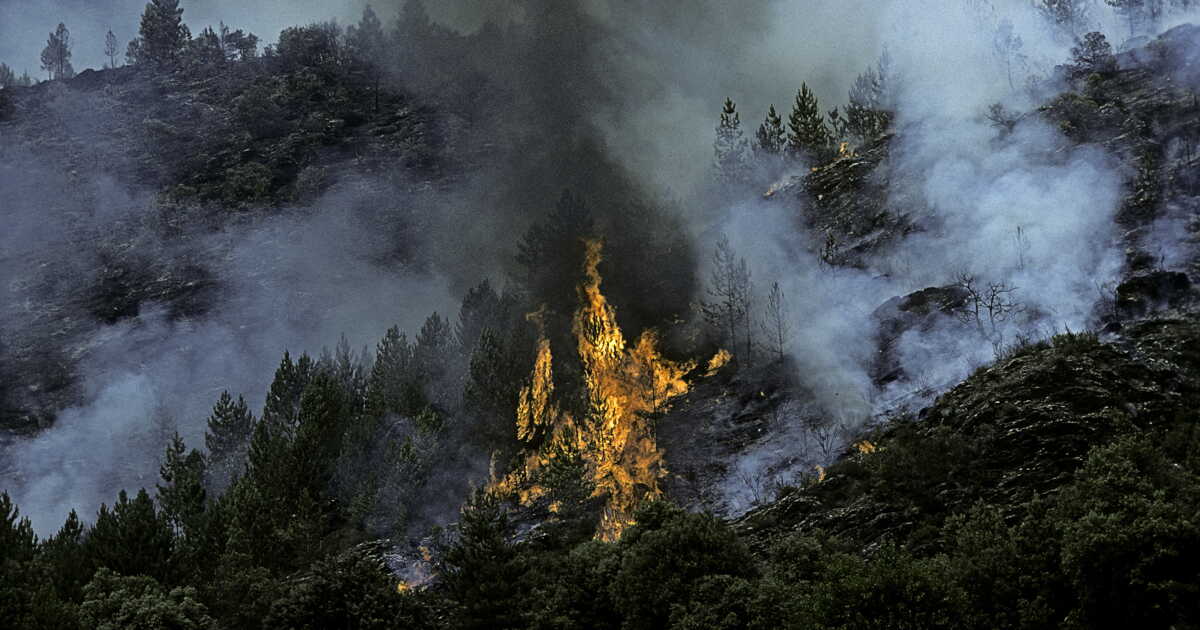 Bilan Météo France 2025: "Le changement climatique est déjà là", avertit Météo-France