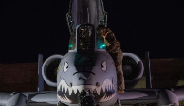 Les Etats-Unis mènent des frappes "en représailles" contre l'EI en Syrie