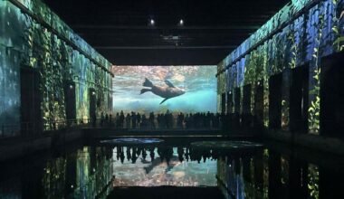 Notre sélection des sorties culturelles à ne pas manquer en décembre à Bordeaux