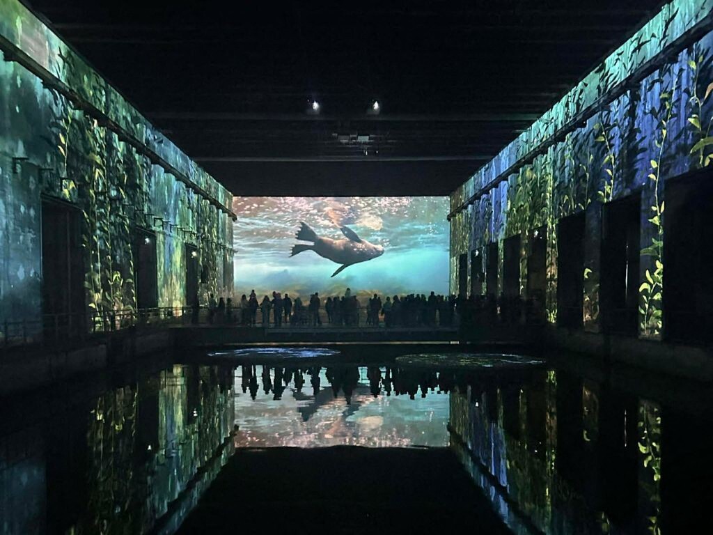 Notre sélection des sorties culturelles à ne pas manquer en décembre à Bordeaux