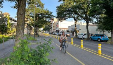 La quasi-totalité des arbres de ce boulevard très fréquenté de Nancy va être abattue : voici pourquoi