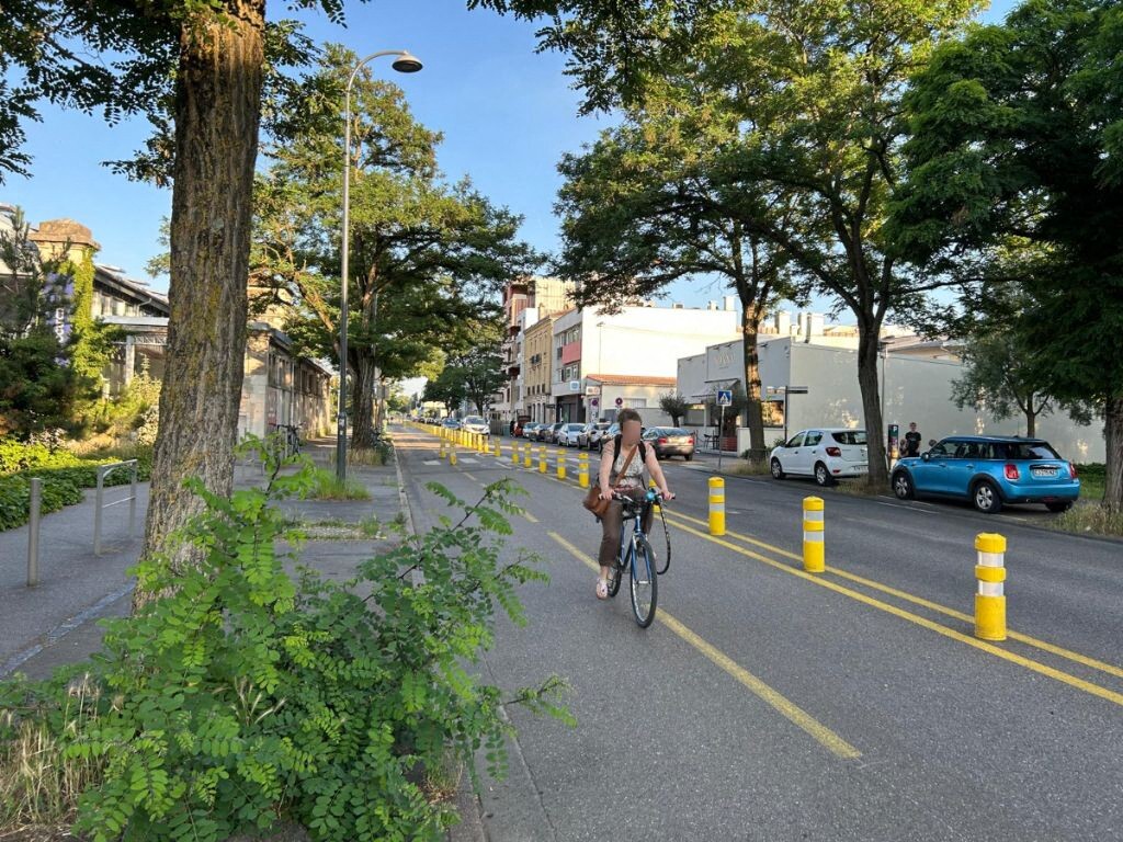 La quasi-totalité des arbres de ce boulevard très fréquenté de Nancy va être abattue : voici pourquoi