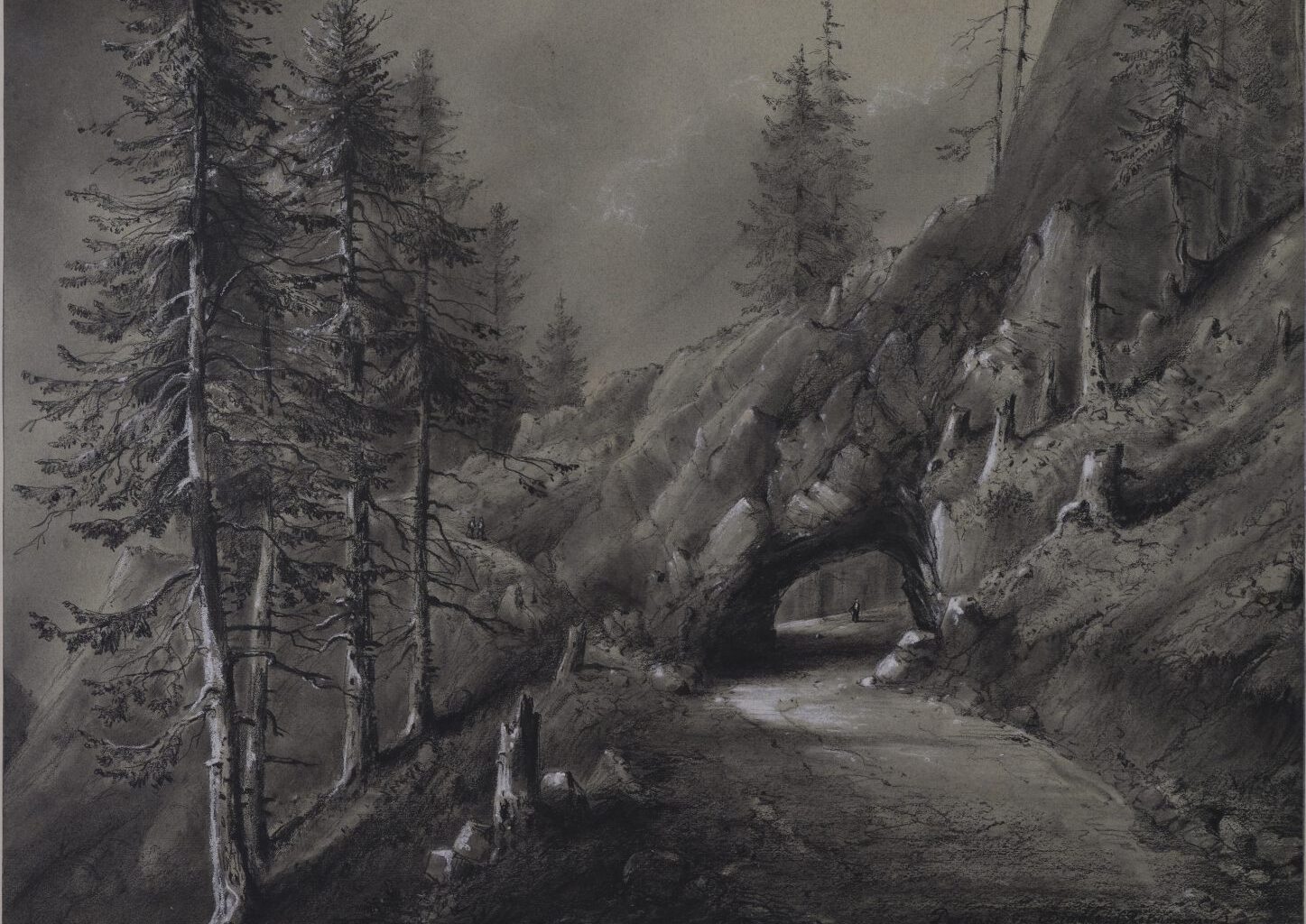 Concours photo & Exposition « D’après nature. Excursion(s) dans les Vosges » à la médialudothèque