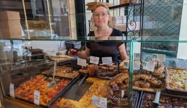 nous sommes allés à leur rencontre