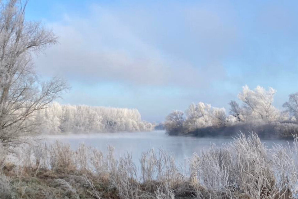 A Barsac (Gironde), une vue magnifique.