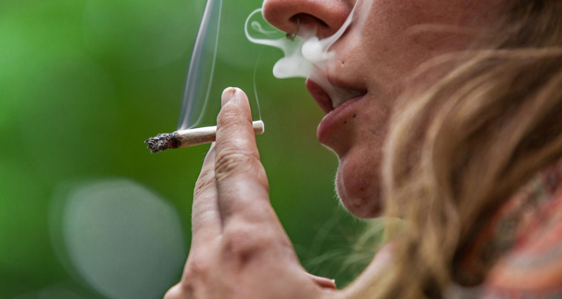 l’alerte choc sur le cannabis