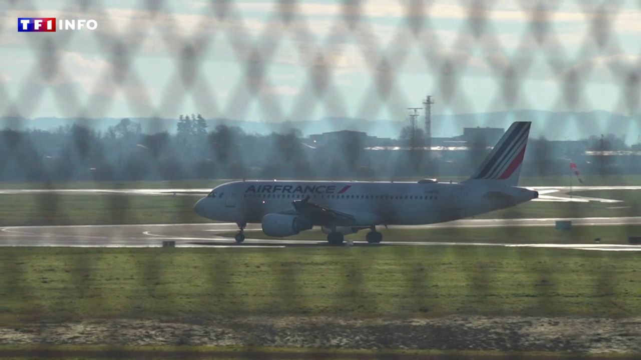 "J'ai cru que ma dernière heure était venue" : grosse frayeur en altitude pour les passagers du Paris-Ajaccio