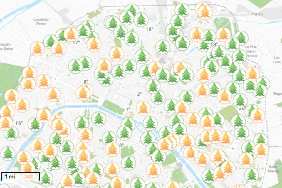 Où déposer son sapin après les fêtes de Noël à Paris ? La municipalité a fait une carte pour répondre à la question.