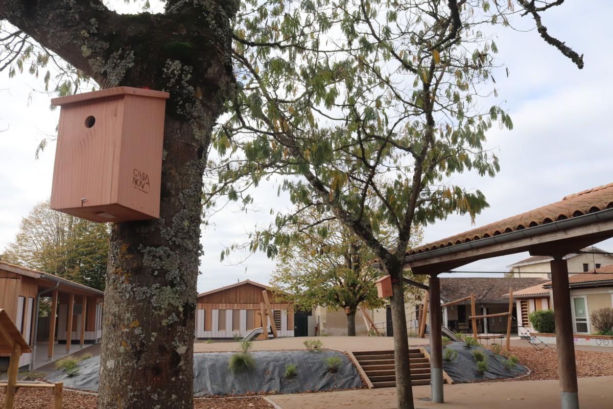 Le groupe scolaire de la Pimpine, entièrement rénové au cours du mandat qui s’achève.