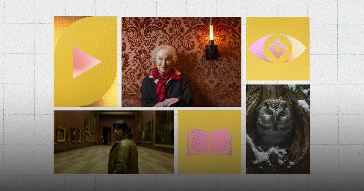 Que faire ce week-end ? Lire Margaret Atwood, voir Le Chant des forêts au cinéma… Voici les conseils culturels des critiques du Figaro