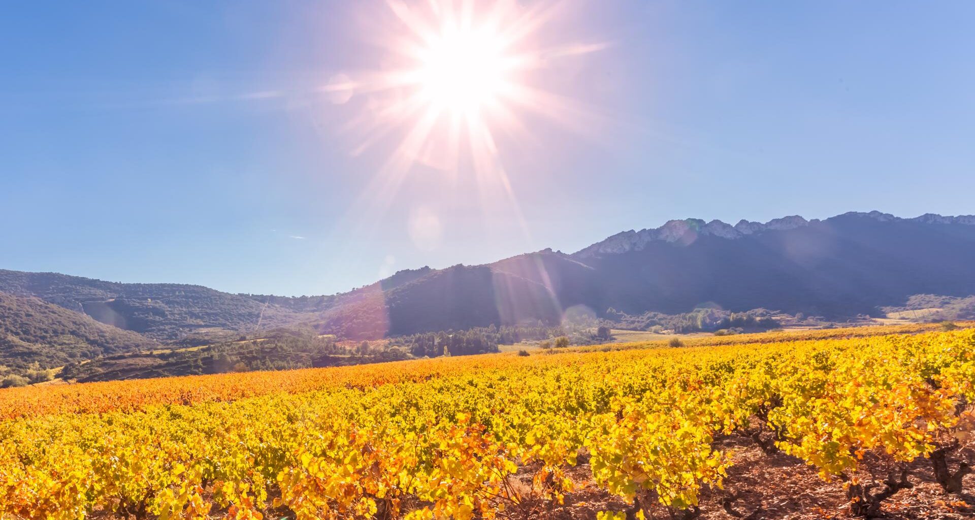 Découvrez la carte des zones de France qui n'ont jamais eu aussi chaud en 2025