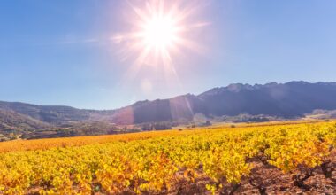 Découvrez la carte des zones de France qui n'ont jamais eu aussi chaud en 2025