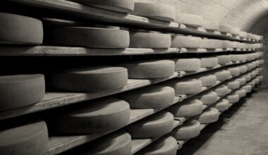 Nos idées sorties du week-end des 12, 13 et 14 décembre 2025 dans la Loire