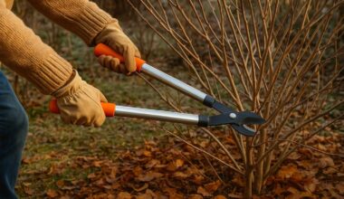 Chez B&M, cet outil de jardin à moins de 7 € change tout : l’astuce méconnue des jardiniers pour tailler sans se ruiner