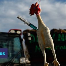 GEOFFROY VAN DER HASSELT / AFP
