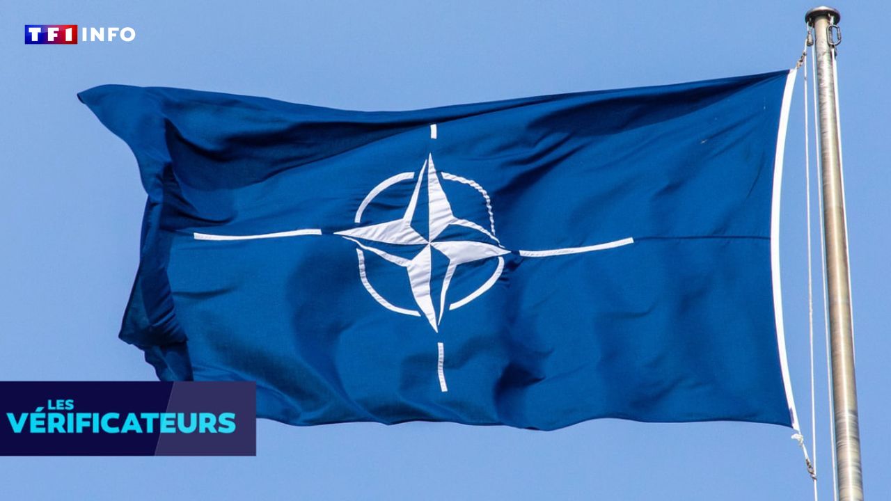 VÉRIF' - L'Otan a-t-elle vraiment menacé la Russie d'une frappe "préventive" ?