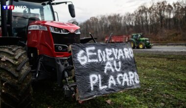 EN DIRECT - Dermatose : Annie Genevard estime que "l'extension de la vaccination" est un "premier infléchissement du protocole"