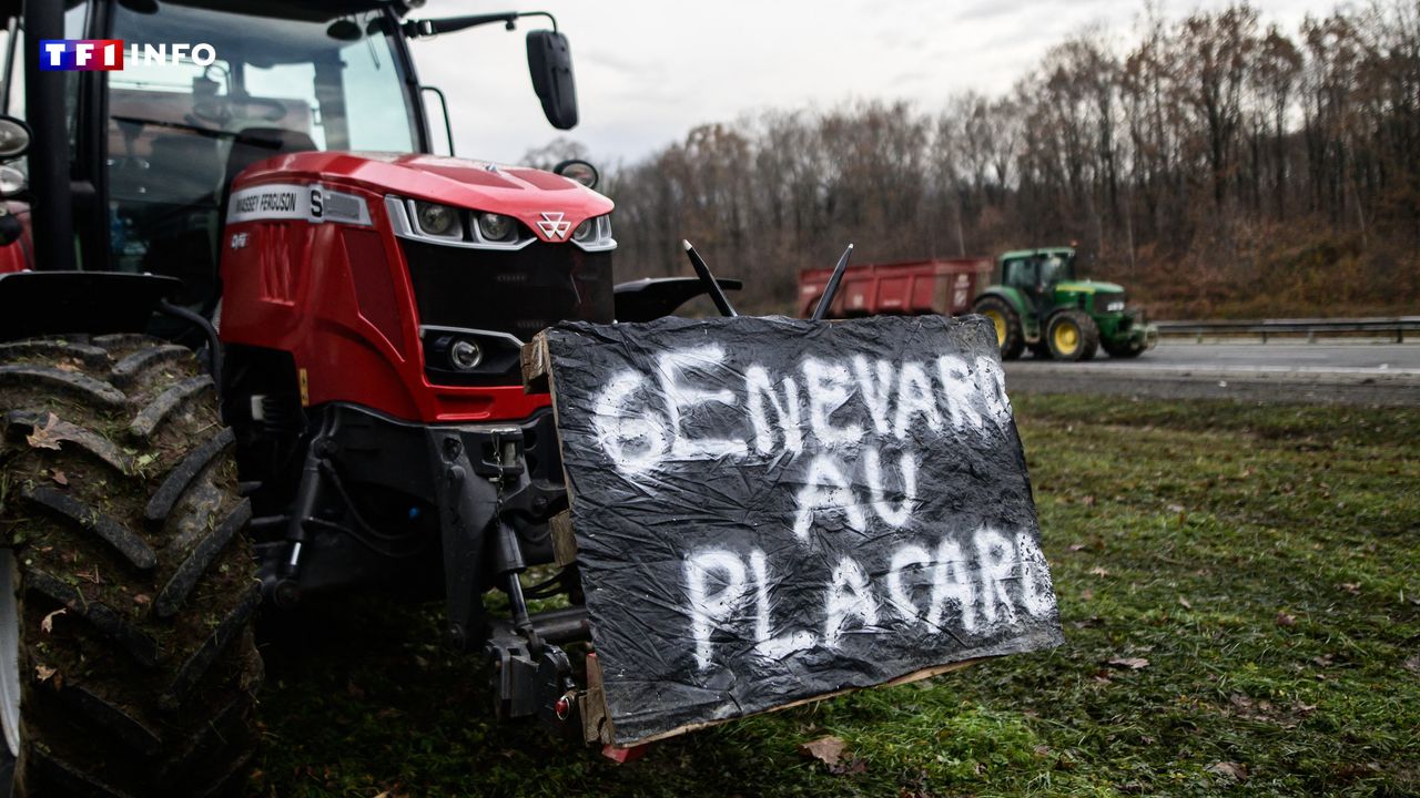 EN DIRECT - Dermatose : Annie Genevard estime que "l'extension de la vaccination" est un "premier infléchissement du protocole"
