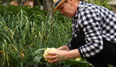 “Si chacun mange un chou-fleur pendant les fêtes, ça peut nous sauver”, l’appel poignant d’un agriculteur